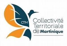 CTM